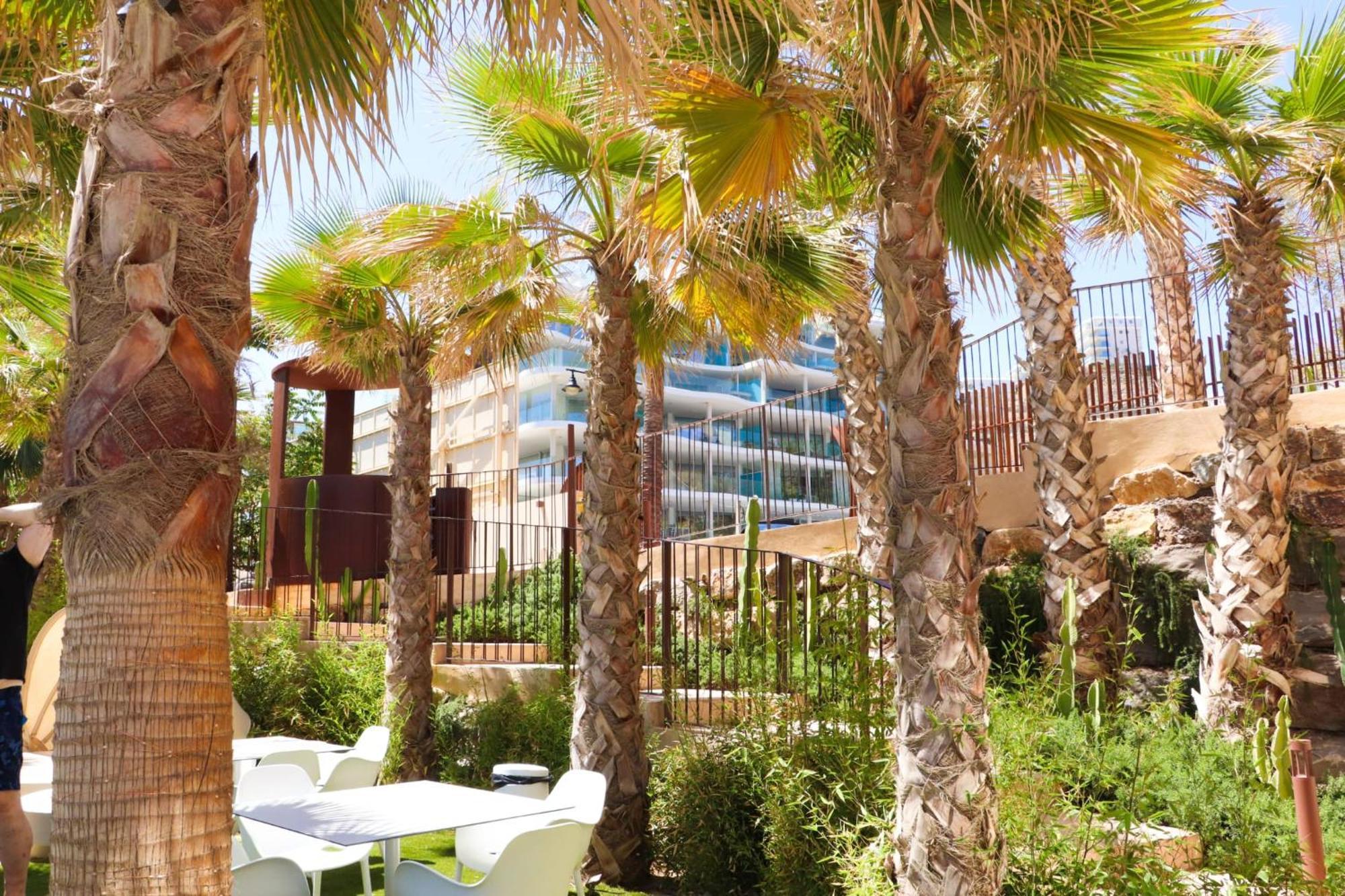 Fantastic Apartment In The Wave Just Steps From Carvajal Beach - Pool And Free Parking فوينخيرولا المظهر الخارجي الصورة